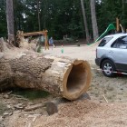 Krabbelröhre, ausgehölter Baum, Beelitz Fichtenwalde Barfusspfad,Skulptur, Kettensäge, Berlin , Brandenburg, geschnitzt, Handmade,