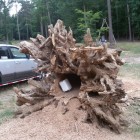 Krabbelröhre, ausgehölter Baum, Beelitz Fichtenwalde Barfusspfad