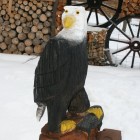 Weißkopfseeadler, lackiert, Skulptur, Kettensäge, Berlin , Brandenburg, geschnitzt, Handmade, Holz