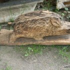 Sportsau, Wildschwein, Skulptur, Kettensäge, Berlin , Brandenburg, geschnitzt, Handmade, Holz