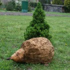 Igel, Skulptur, Kettensäge, Berlin , Brandenburg, geschnitzt, Handmade, Holz